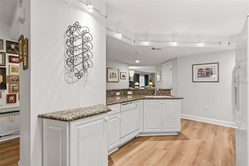 A kitchen features white cabinets, granite countertops, a dishwasher, and light wood-look flooring — 426 BOUCHELLE DRIVE UNIT 301, NEW SMYRNA BEACH, FL