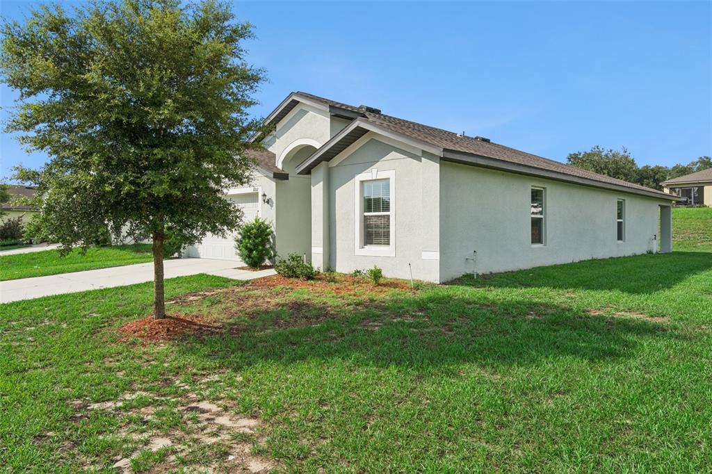 A single-story house with a light-colored stucco exterior, a dark shingled roof, and a tree — 1602 ORNE STREET, MASCOTTE, FL