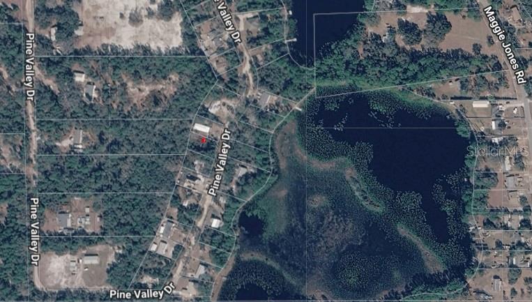 This is an aerial map view showing residential lots along Pine Valley Drive near a lake — PINE VALLEY DRIVE, PAISLEY, FL
