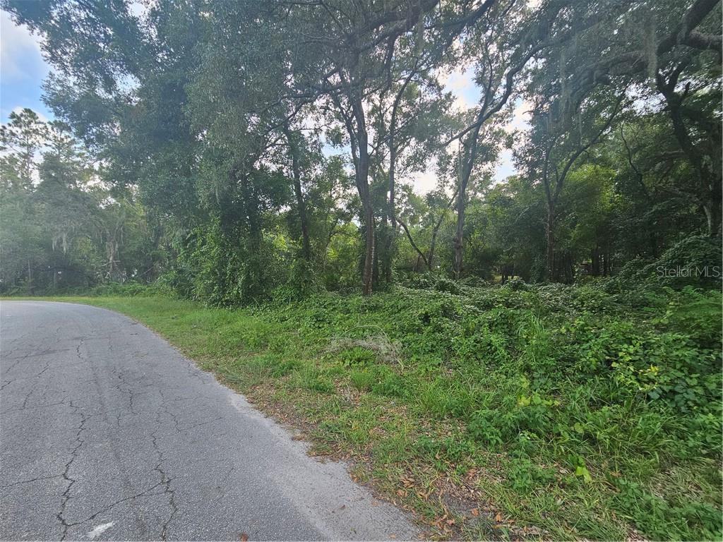 4059 E Gloria DRIVE, HERNANDO, FL — photo 3 of 25