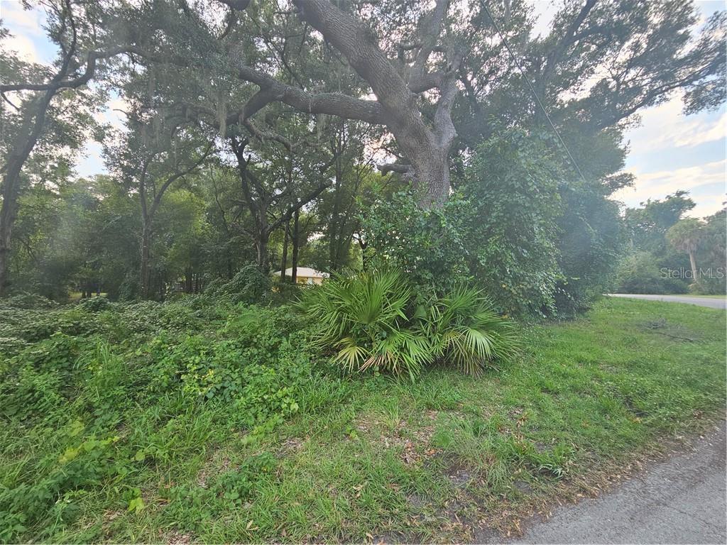 4059 E Gloria DRIVE, HERNANDO, FL — photo 4 of 25