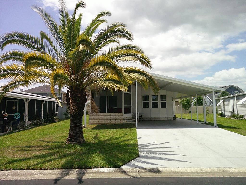 A single-story house with a palm tree, a front porch, and a covered carport — 3205 HICKORY DRIVE, WESLEY CHAPEL, FL