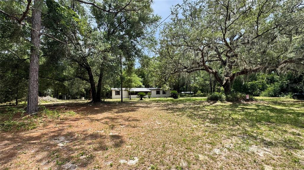 A single-story house sits in a large, wooded yard with mature trees and Spanish moss — 11286 E HIGHWAY 25, BELLEVIEW, FL