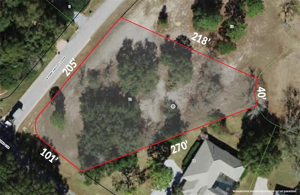 3541 N Pine Valley LOOP, LECANTO, FL — photo 2 of 28