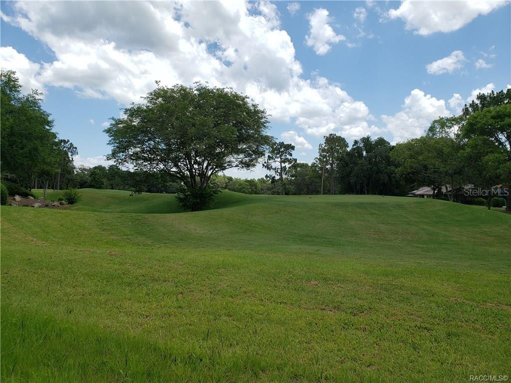 3541 N Pine Valley LOOP, LECANTO, FL — photo 3 of 28