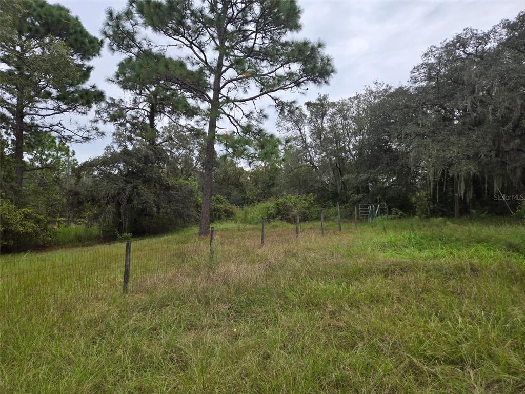 6535 N EWOK POINT, DUNNELLON, FL — photo 4 of 17