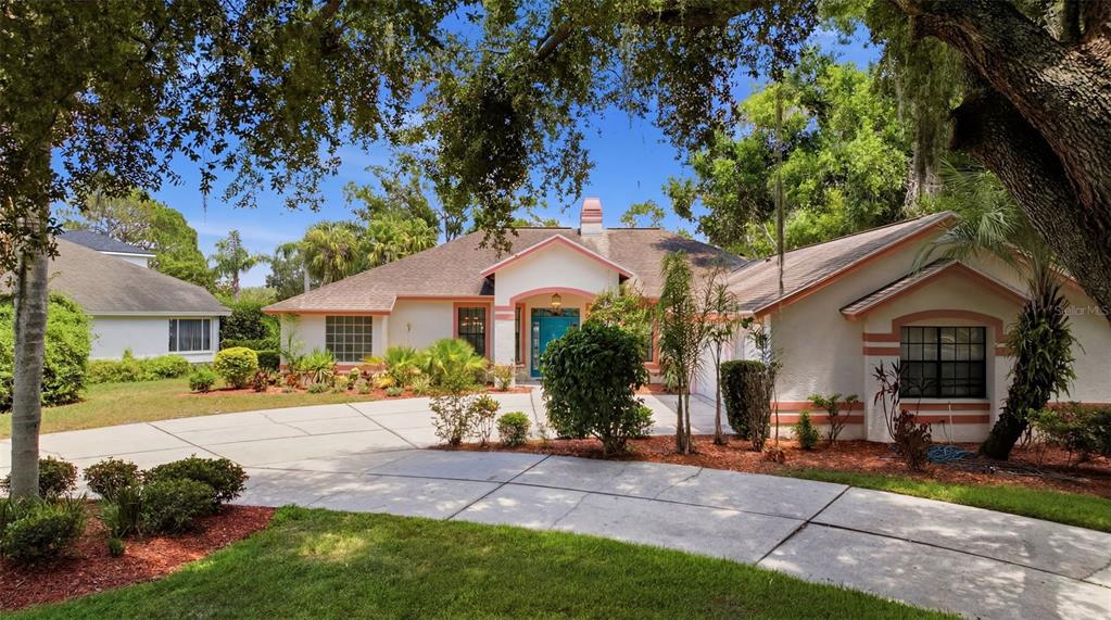 A single-story house with a white stucco exterior, pink trim, and a curved concrete driveway — 16501 BLENHEIM DRIVE, LUTZ, FL