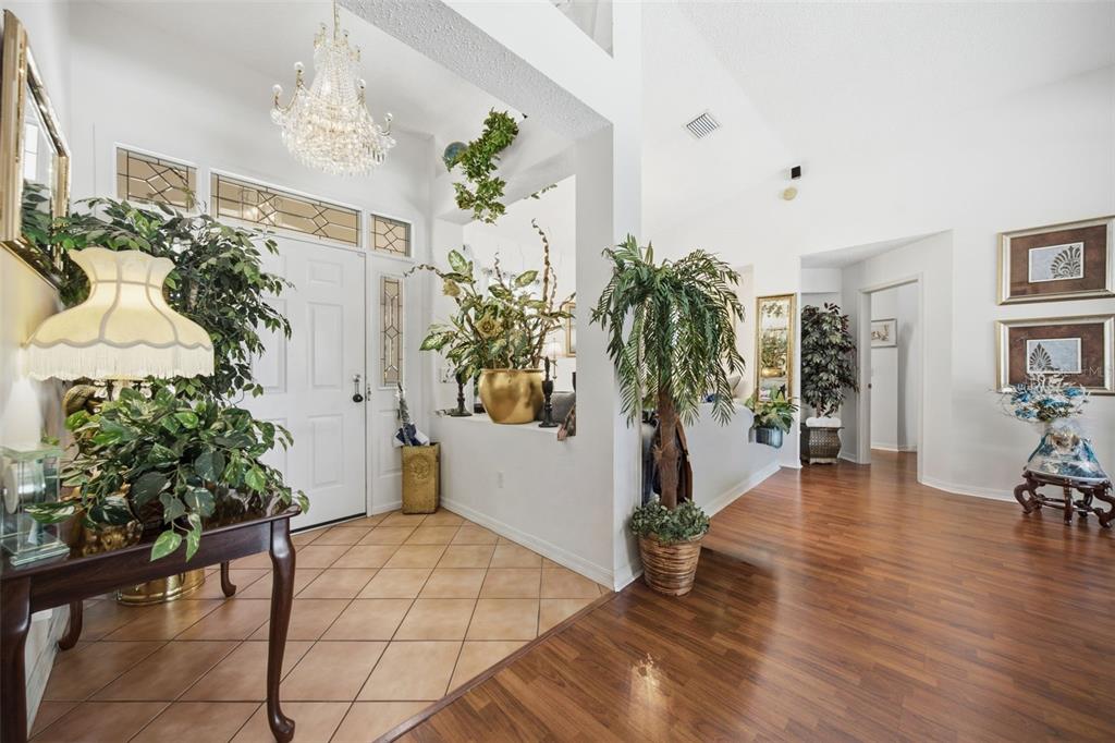 A bright entryway features a crystal chandelier, tile and wood flooring, and several potted plants — 16501 BLENHEIM DRIVE, LUTZ, FL