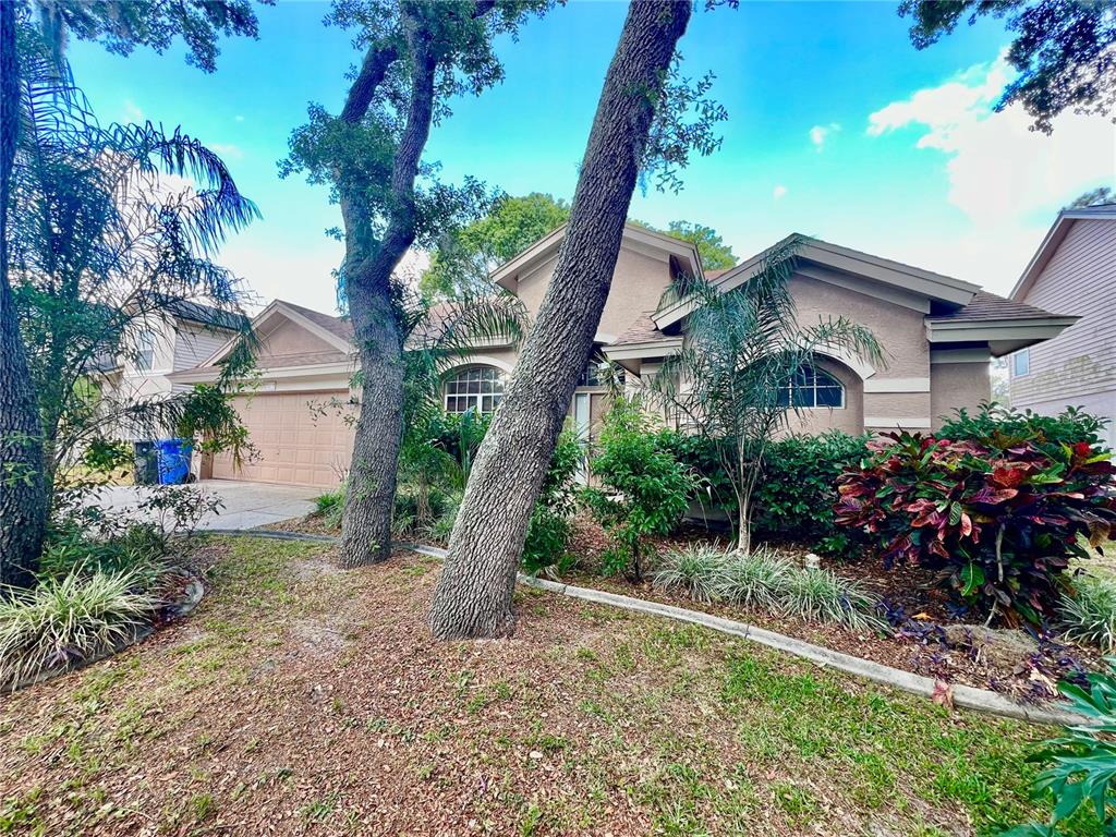 2413 NEEDHAM DRIVE