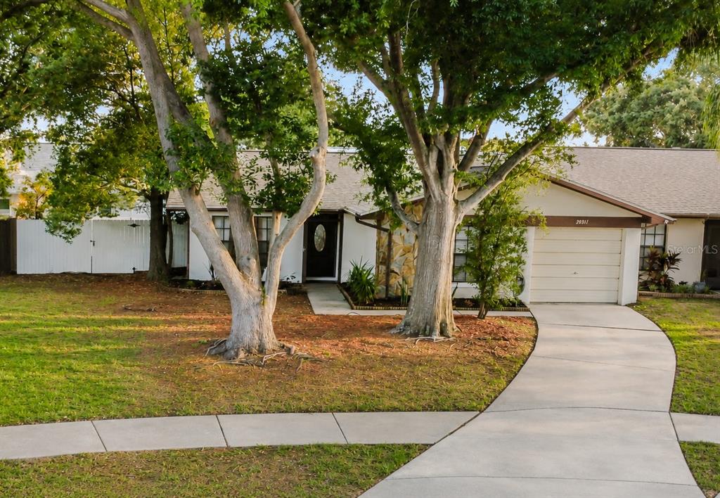 2031 DOVER COURT, OLDSMAR, FL — photo 4 of 19