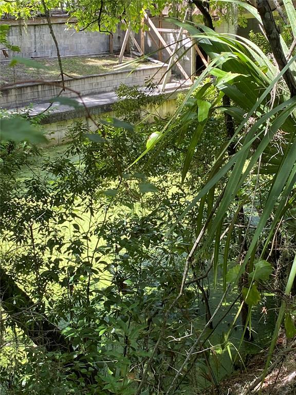 A view of a green, algae-covered pond bordered by a concrete retaining wall and vegetation — CR 448C, LAKE PANASOFFKEE, FL
