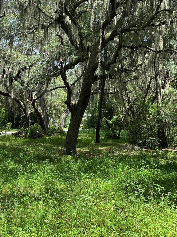 A large, moss-draped oak tree stands in a grassy, wooded lot — CR 448C, LAKE PANASOFFKEE, FL