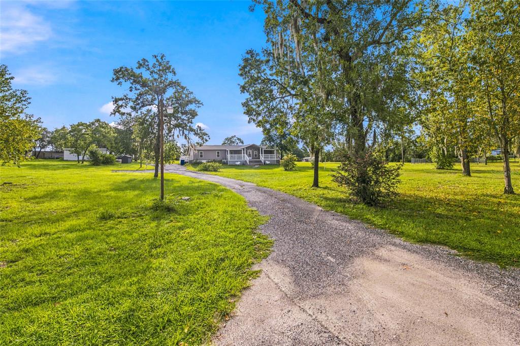 A gravel driveway leads to a single-story house surrounded by a large, grassy yard — 5351 NE 121ST TERRACE, WILLISTON, FL