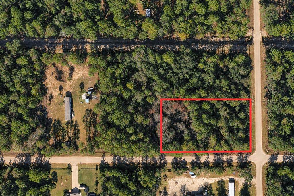 2534 LANCEWOOD STREET, BUNNELL, FL — photo 3 of 4