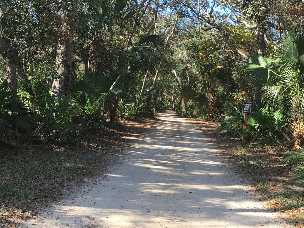A dirt path winds through a wooded area with dense palm trees and foliage — 3 SAN LUIS LANE, PALM COAST, FL
