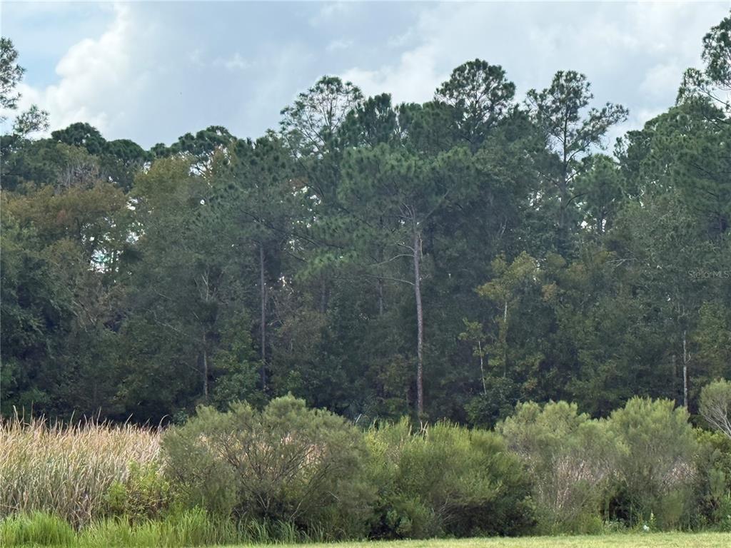 10855 W HOMOSASSA TRAIL