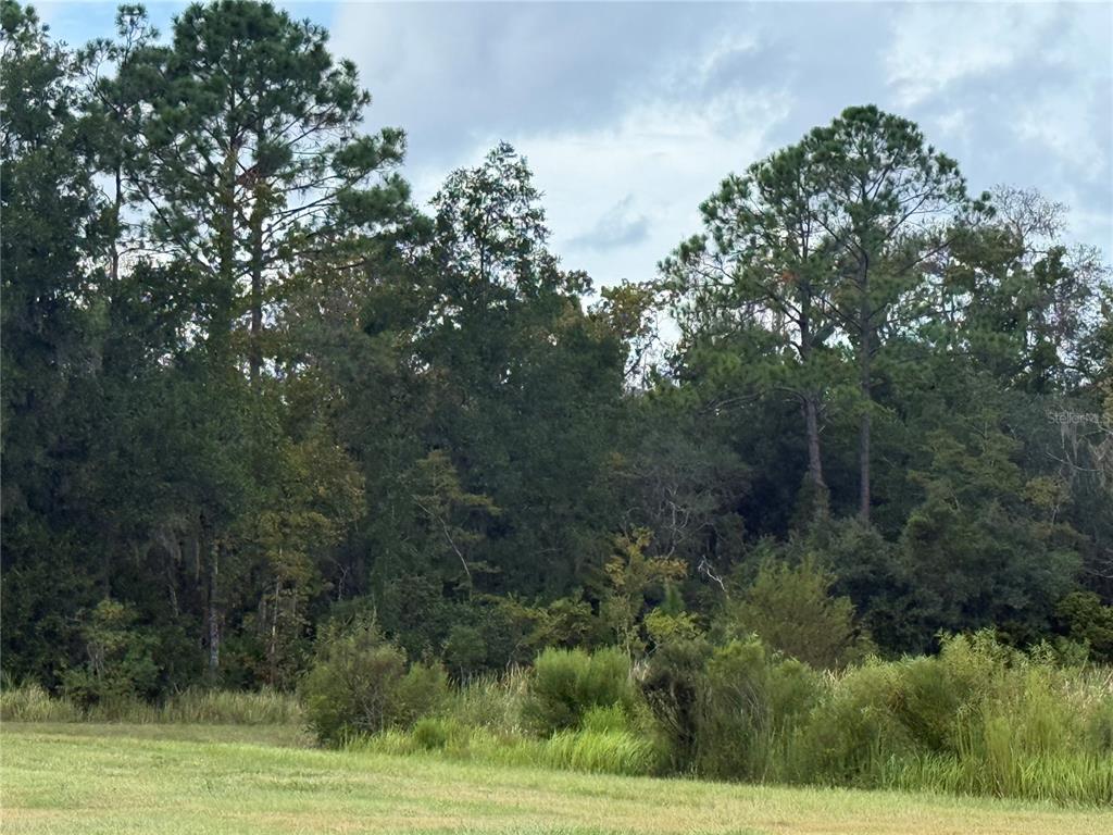 10855 W HOMOSASSA TRAIL, HOMOSASSA, FL — photo 2 of 3