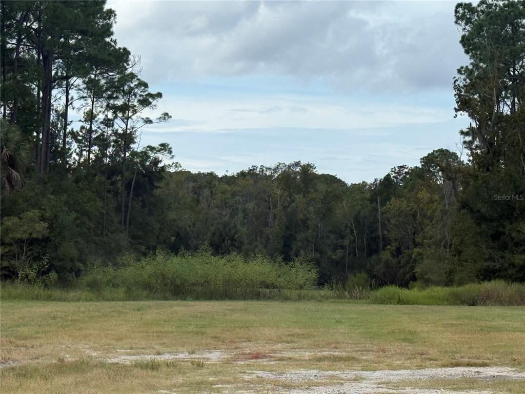10855 W HOMOSASSA TRAIL, HOMOSASSA, FL — photo 3 of 3