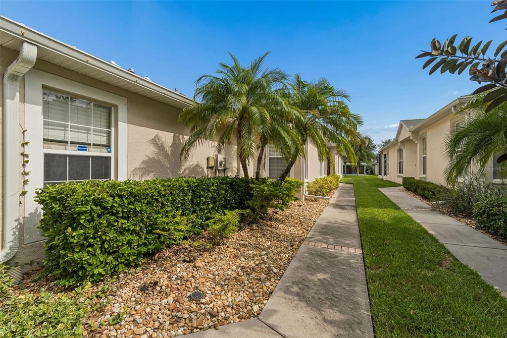 A concrete walkway runs between two beige residential buildings with palm trees and landscaping — 11435 CAMBRAY CREEK LOOP, RIVERVIEW, FL