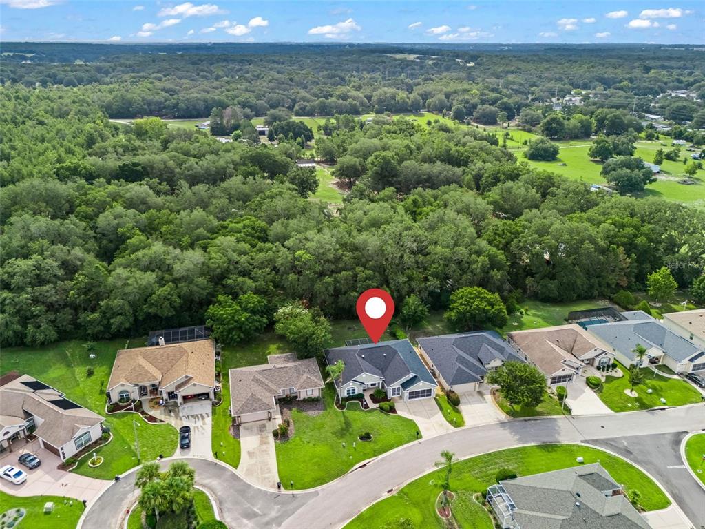 An aerial view shows a suburban neighborhood with houses, green lawns, and a dense forest — 17879 SE 125TH CIRCLE, SUMMERFIELD, FL