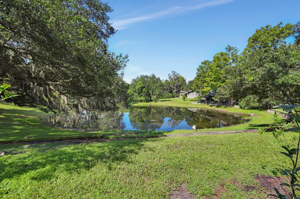 A grassy yard slopes down toward a small pond surrounded by mature trees — 904 VILLAGE GREEN ROAD UNIT 3, DELAND, FL