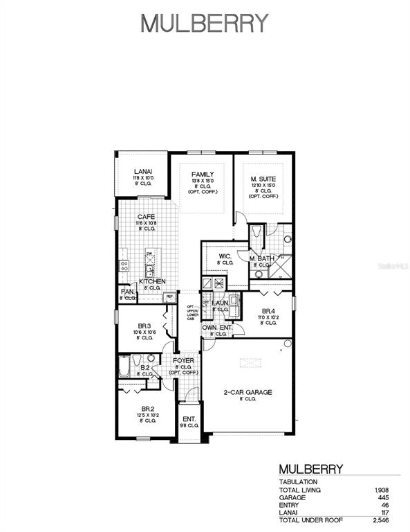 This is a floor plan for a single-story house model named Mulberry — 6217 SANDERS GROVE CIRCLE, LEESBURG, FL