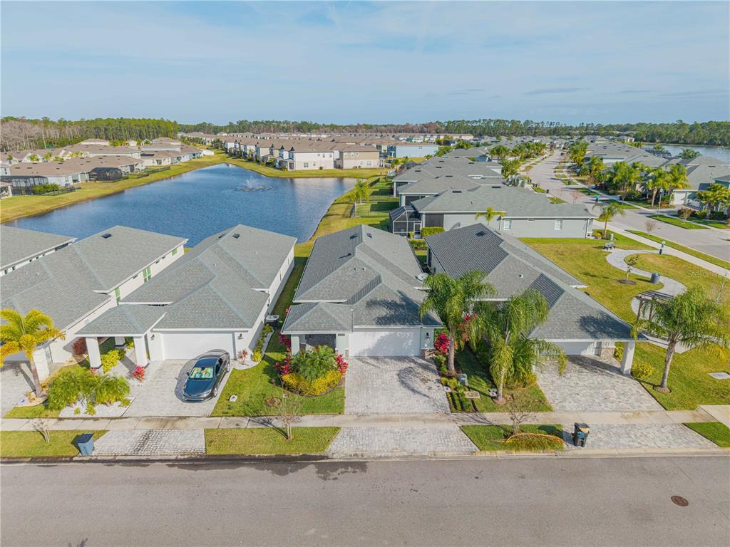 3107 KING PALM DRIVE