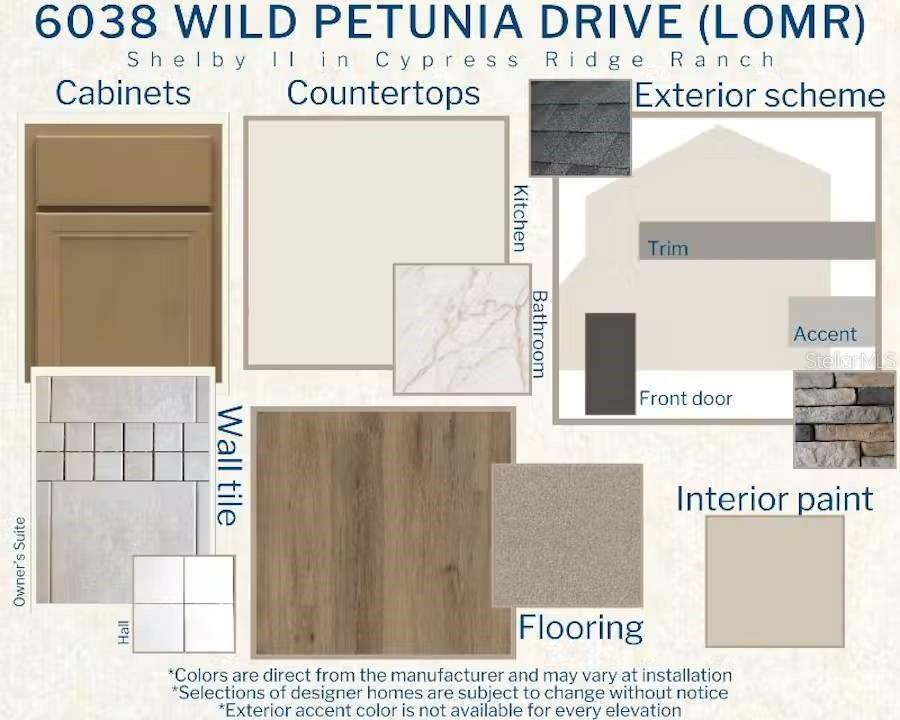6038 WILD PETUNIA DRIVE, WIMAUMA, FL — photo 3 of 4