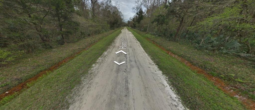A dirt road stretches through a wooded area with drainage ditches on both sides — 4530 HAROLD STREET, HASTINGS, FL