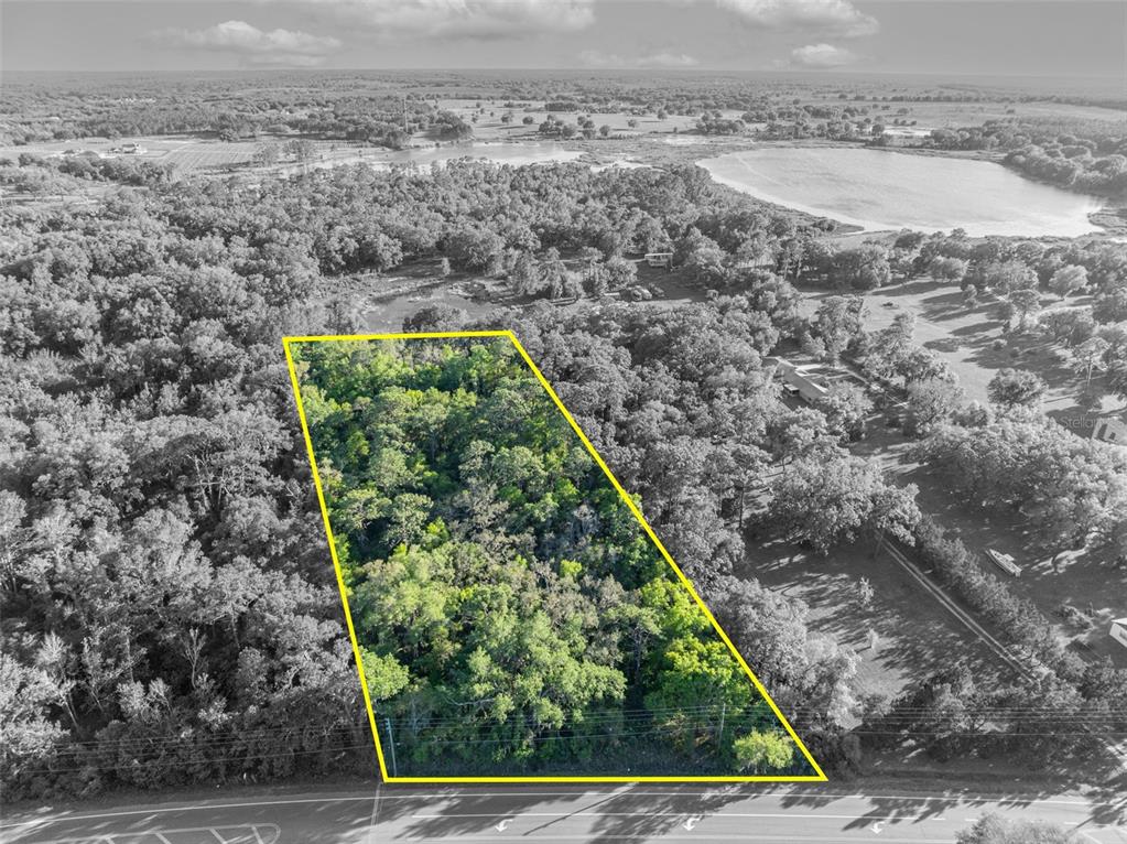 An aerial view shows a rectangular, wooded plot of land bordered by a paved road — TBD COUNTY ROAD 48, YALAHA, FL