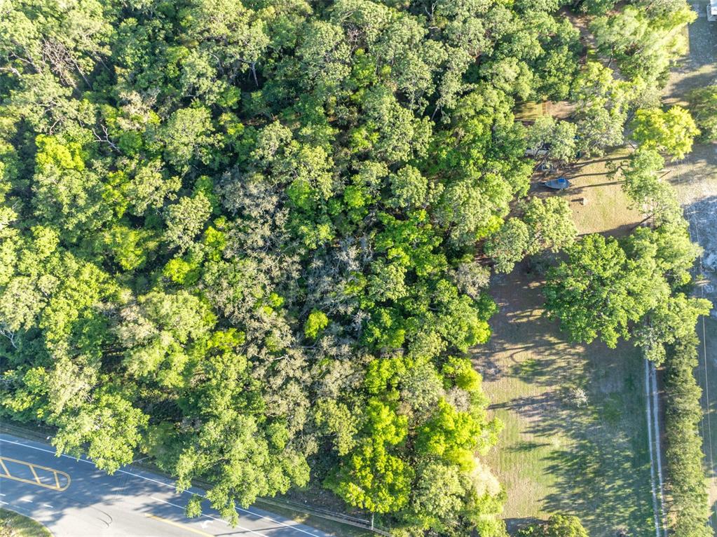 An aerial view shows a wooded lot adjacent to a paved road and open field — TBD COUNTY ROAD 48, YALAHA, FL