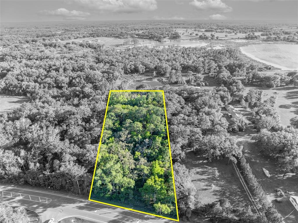 An aerial view shows a wooded, trapezoidal plot of land bordering a paved road — TBD COUNTY ROAD 48, YALAHA, FL