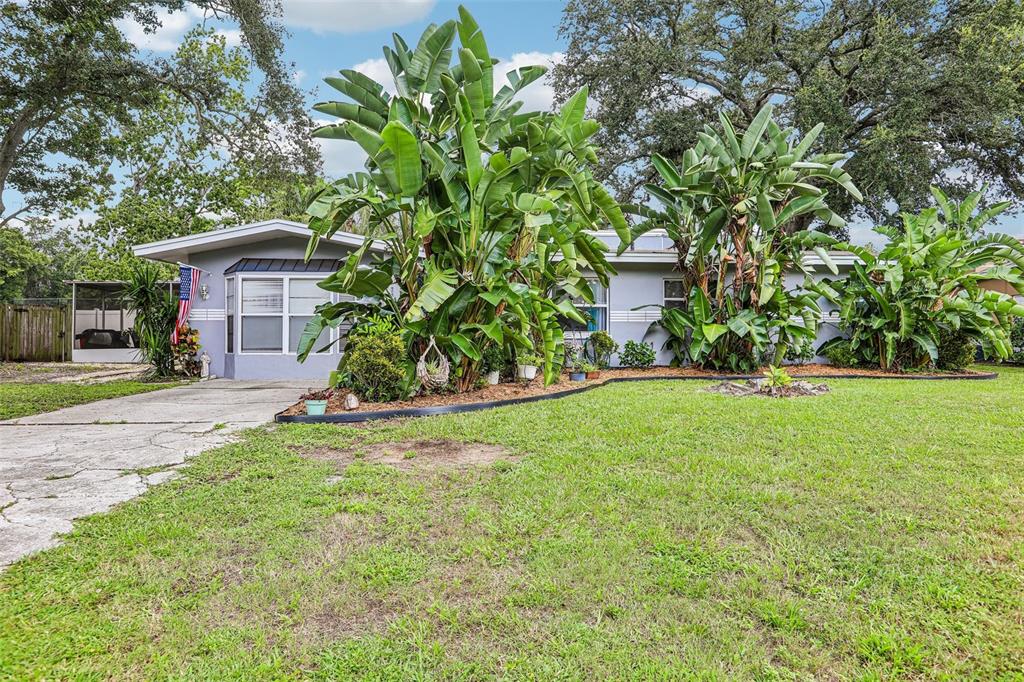 2358 HAVANA DRIVE, CLEARWATER, FL — photo 2 of 17