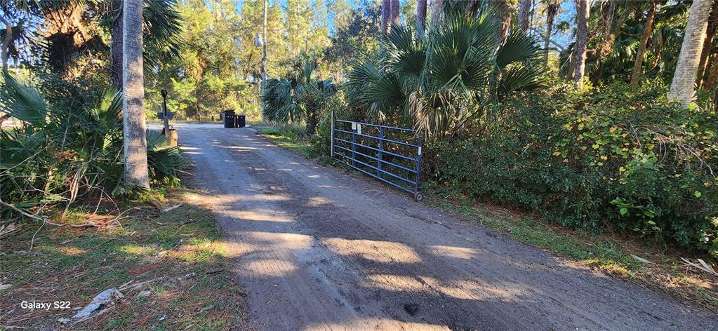 A dirt driveway leads to a metal gate surrounded by trees and dense vegetation — 680 E BLACK POINT ROAD, BUNNELL, FL