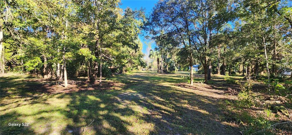 A grassy, wooded lot with mature trees under a clear blue sky — 680 E BLACK POINT ROAD, BUNNELL, FL