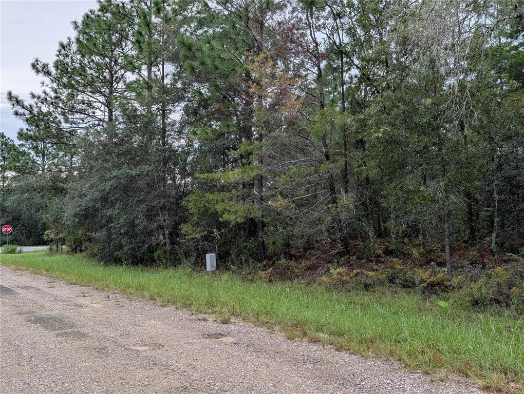6443 N DORIAN TERRACE, DUNNELLON, FL — photo 2 of 4