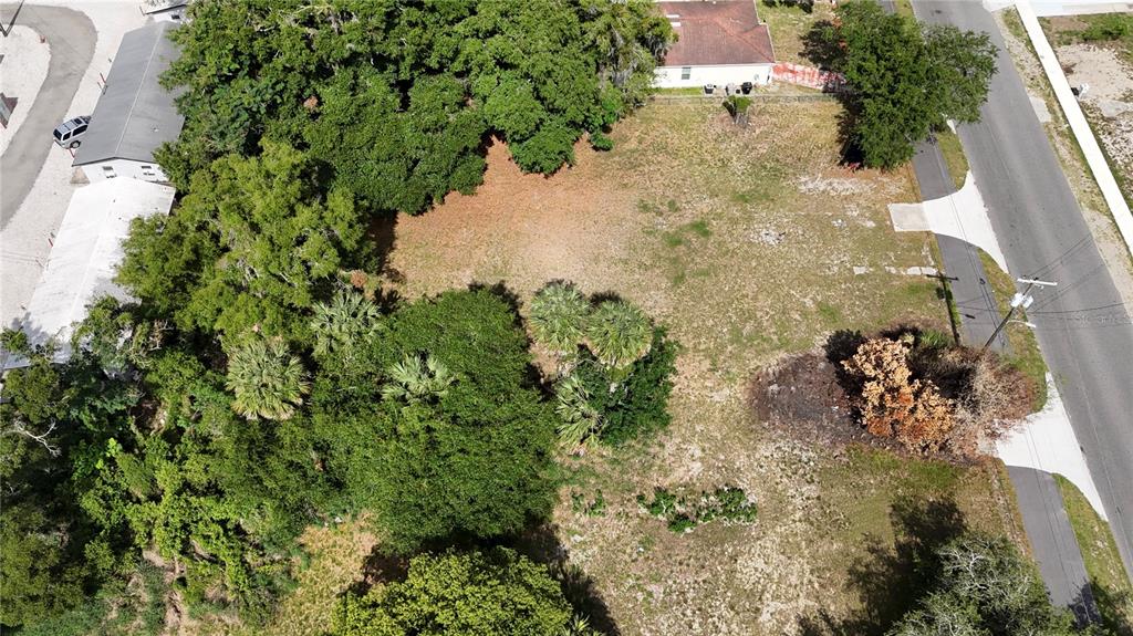 An aerial view shows a vacant, grassy lot with mature trees and adjacent buildings — 41 E MICHAEL GLADDEN BOULEVARD, APOPKA, FL