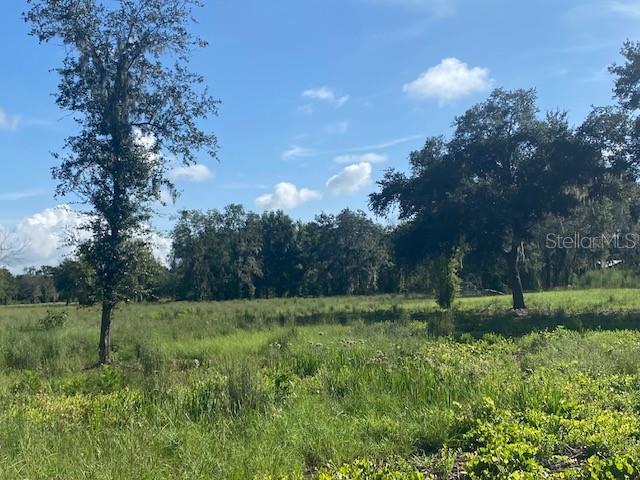A grassy field with scattered trees under a blue sky with white clouds — 5840 BOB SMITH AVENUE, PLANT CITY, FL