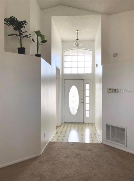 An entryway features a white front door with an oval window, tile flooring, and vaulted ceilings — 12533 DARBY AVENUE, ORLANDO, FL