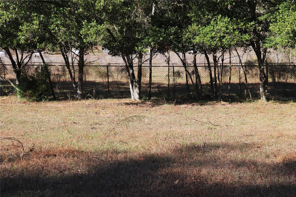 A grassy, sunlit lot features a chain-link fence backed by a row of trees — 8340 SW 35TH AVENUE, OCALA, FL