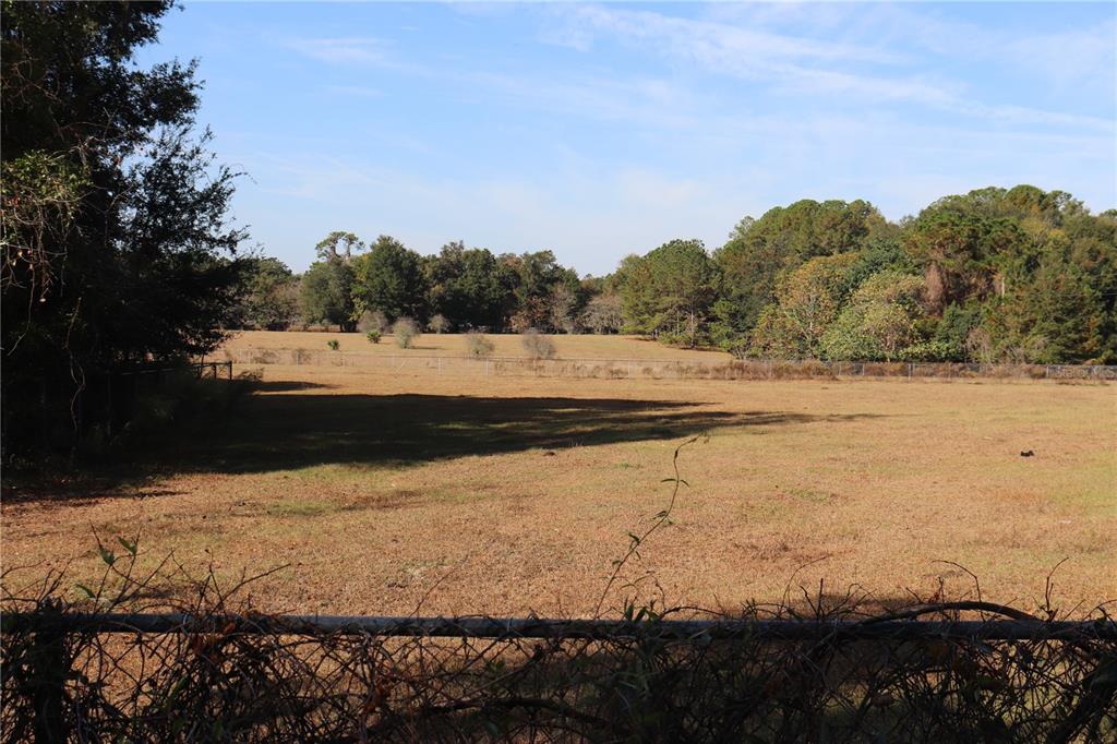 A chain-link fence borders a large, grassy field with a line of trees in the background — 8340 SW 35TH AVENUE, OCALA, FL