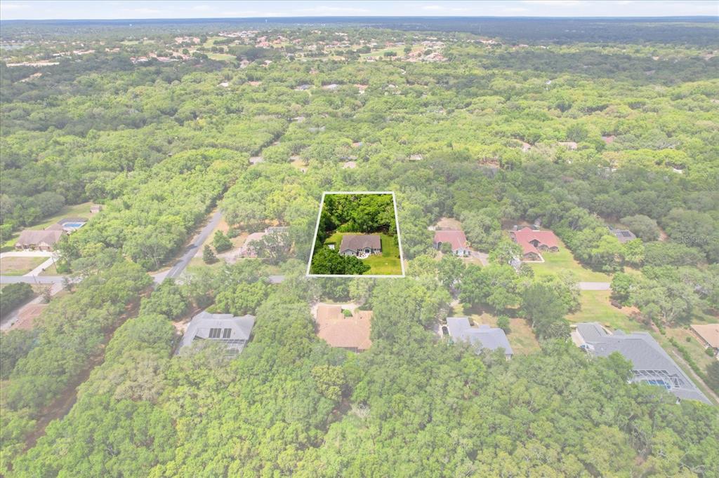 An aerial view shows a single-family home surrounded by dense trees in a residential neighborhood — 399 W MASSACHUSETTS STREET, HERNANDO, FL