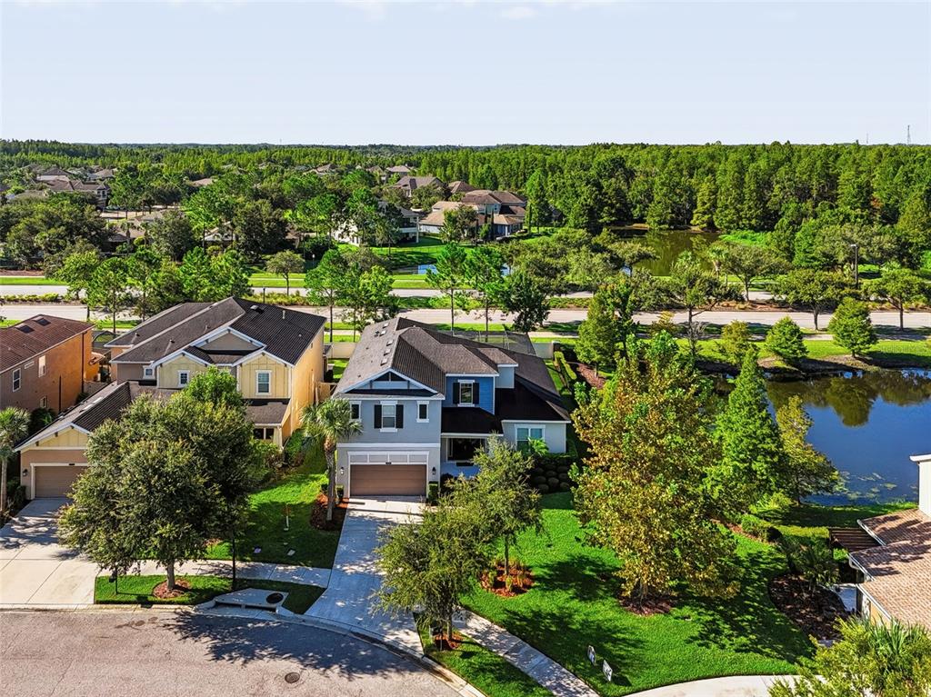8781 BELLA VITA CIRCLE, LAND O LAKES, FL — photo 2 of 30