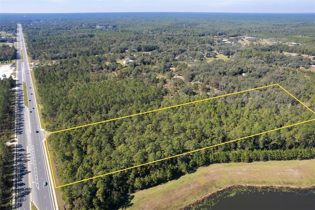 An aerial view shows a rectangular, tree-covered plot of land adjacent to a multi-lane road — 00 STATE RD 20, PALATKA, FL