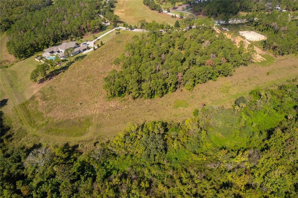 An aerial view shows a large house with a pool situated on a grassy lot — 16842 ARTIMINO LOOP, MONTVERDE, FL