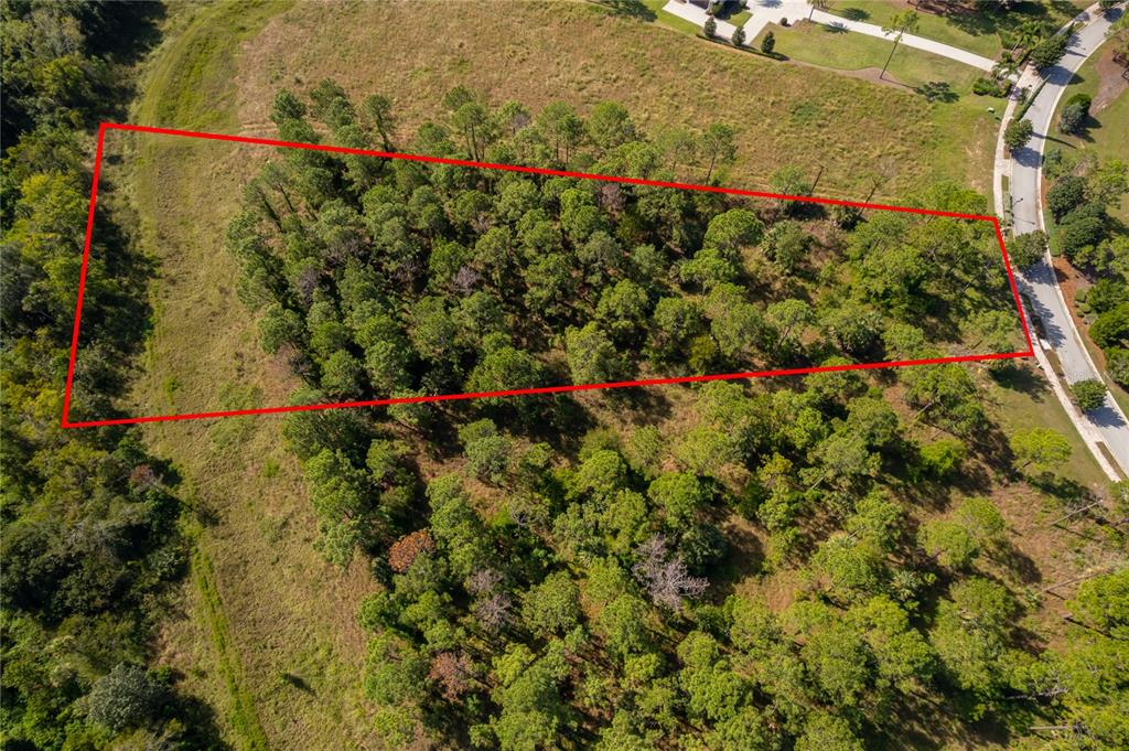 An aerial view shows a rectangular plot of land outlined in red amidst wooded terrain — 16842 ARTIMINO LOOP, MONTVERDE, FL