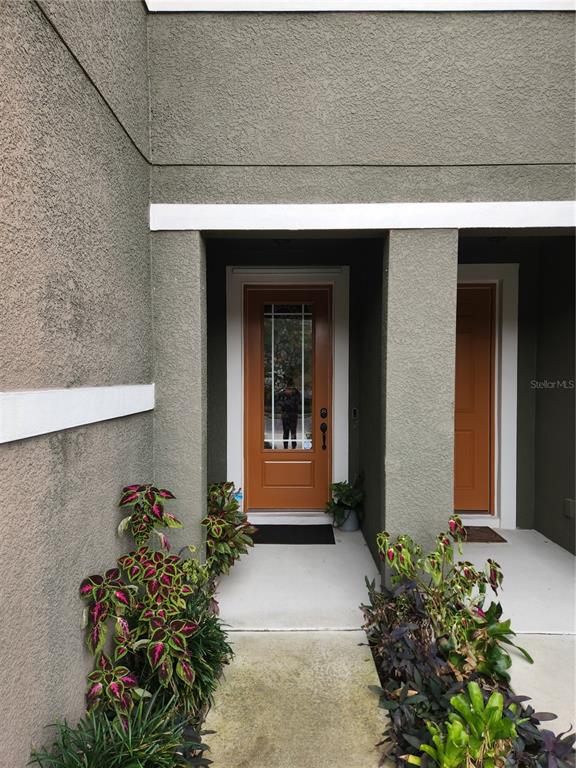 A view of a home entrance with two orange doors and potted plants — 5508 VIOLA LEE WAY, LUTZ, FL