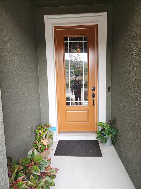 A front entryway features an orange door with a decorative glass insert and potted plants — 5508 VIOLA LEE WAY, LUTZ, FL