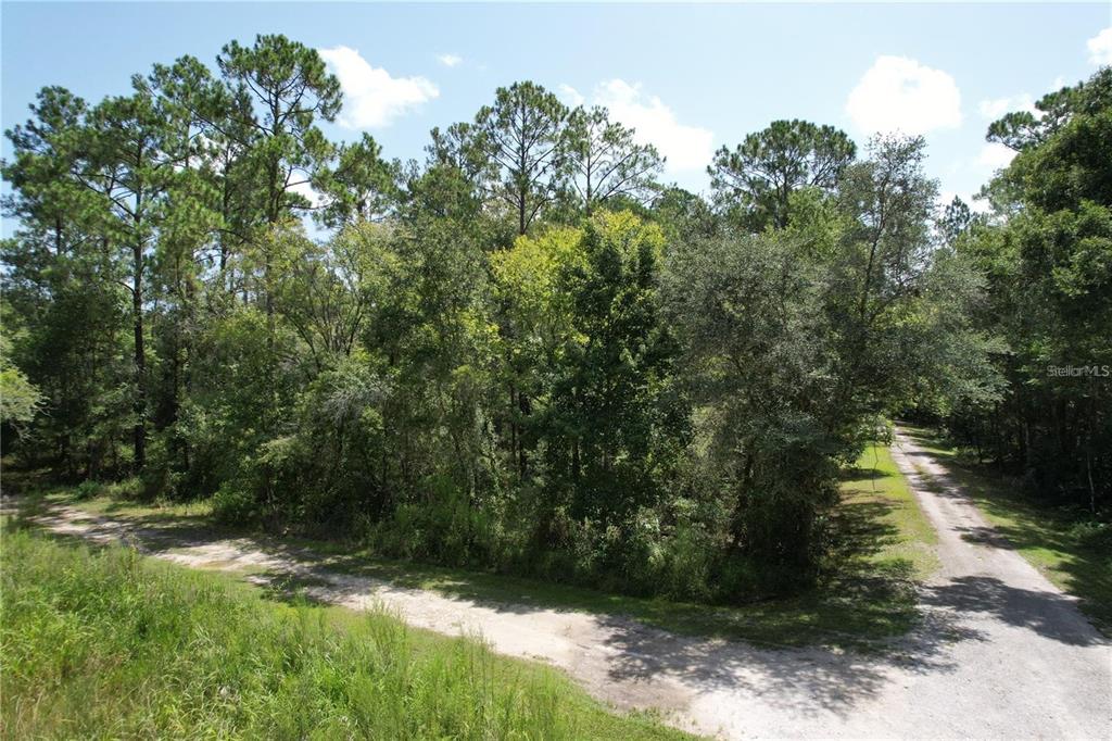 MERRYHILL DRIVE, WEBSTER, FL — photo 2 of 4