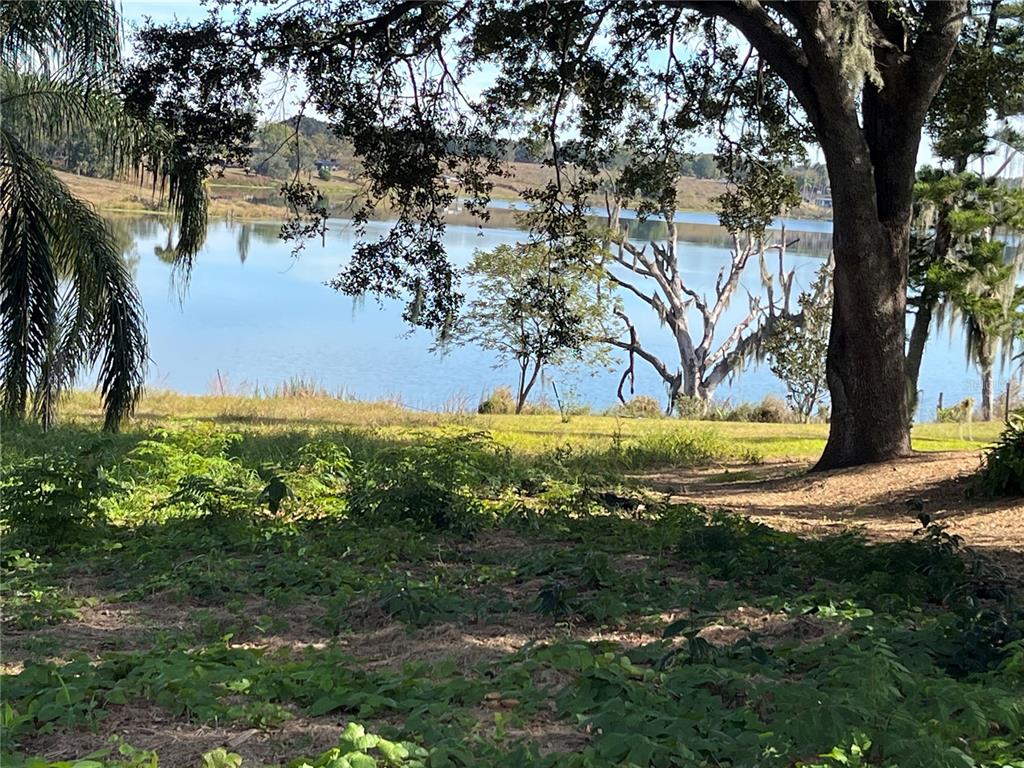 A view of a lake framed by large trees and grassy terrain — 0 CENTRAL AVENUE, BARTOW, FL
